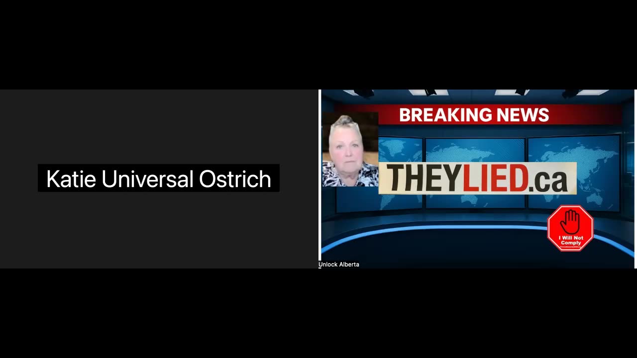 EMERGENCY BROADCAST TAKE 2