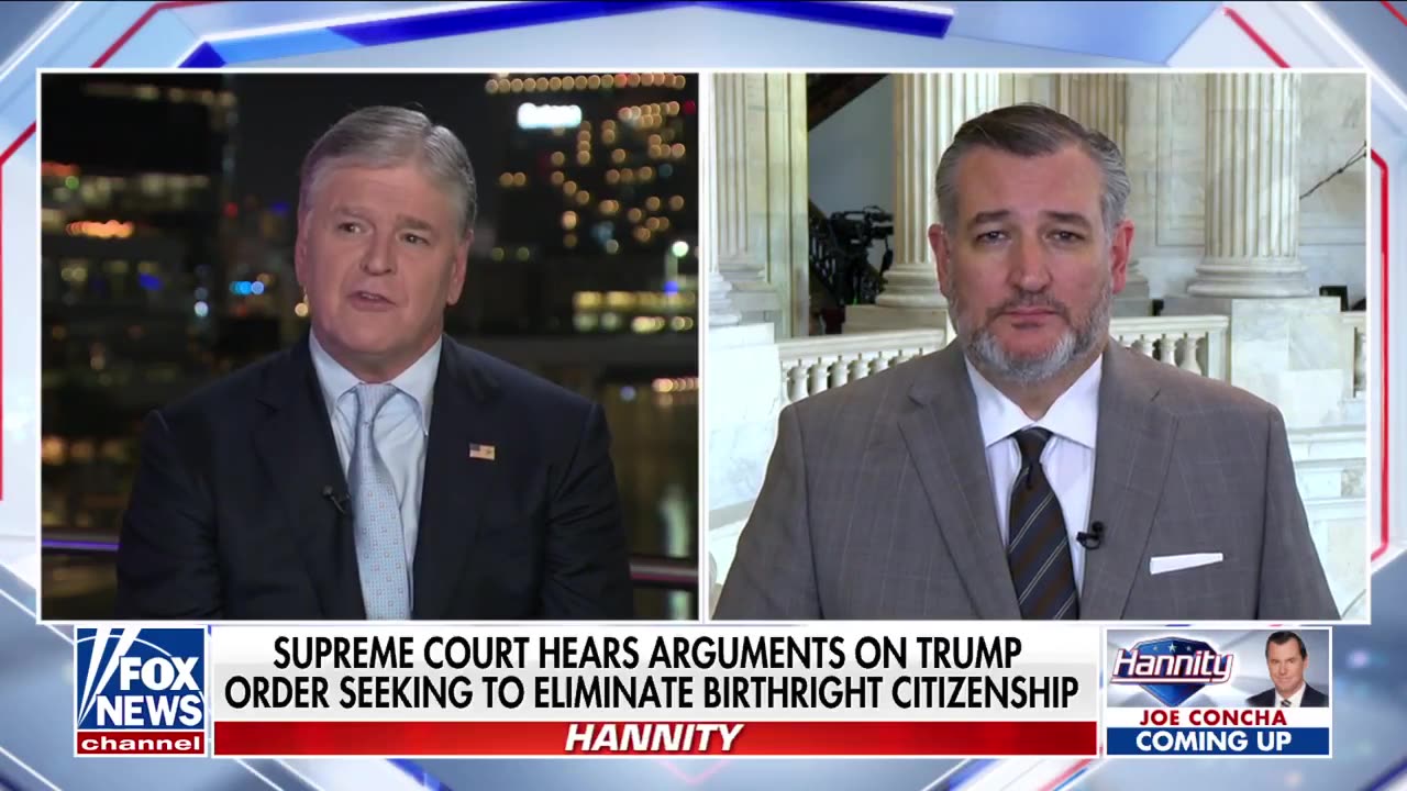 ABUSE OF OUR LAWS: Ted Cruz discusses ending birthright citizenship