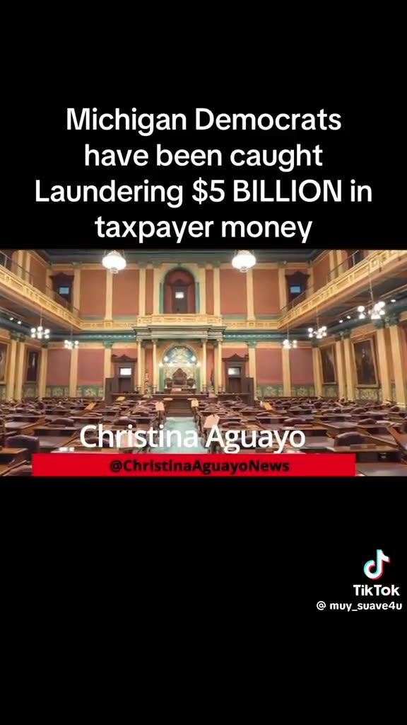 Michigan Democrats caught laundering $5 Billion in Taxpayers Money