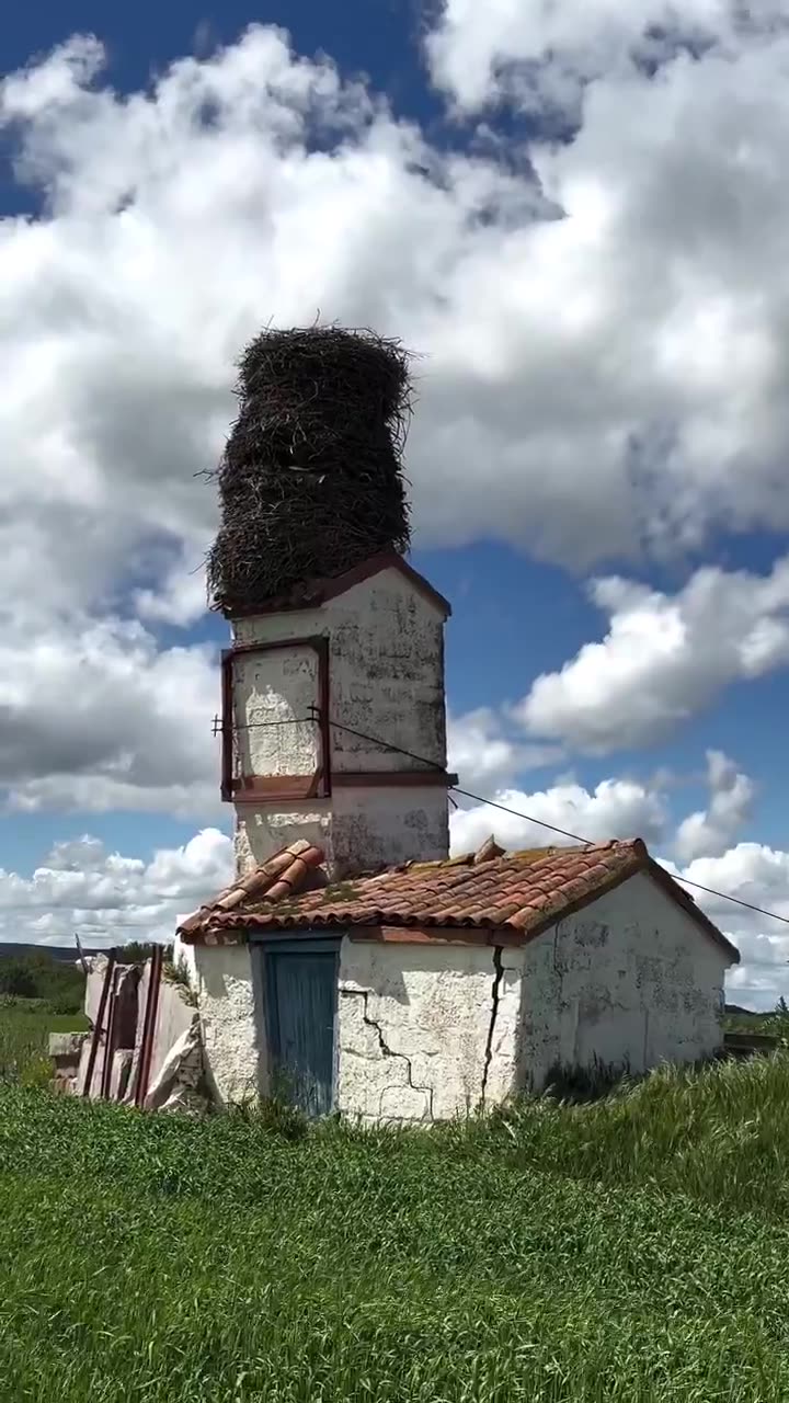 Huge Stork nest in Castile Spain