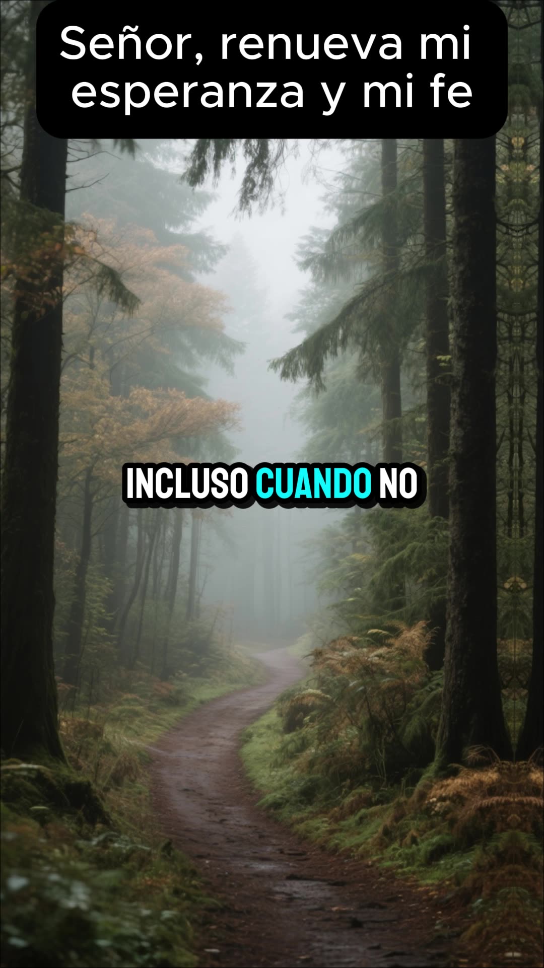 Señor, renueva mi esperanza y mi fe