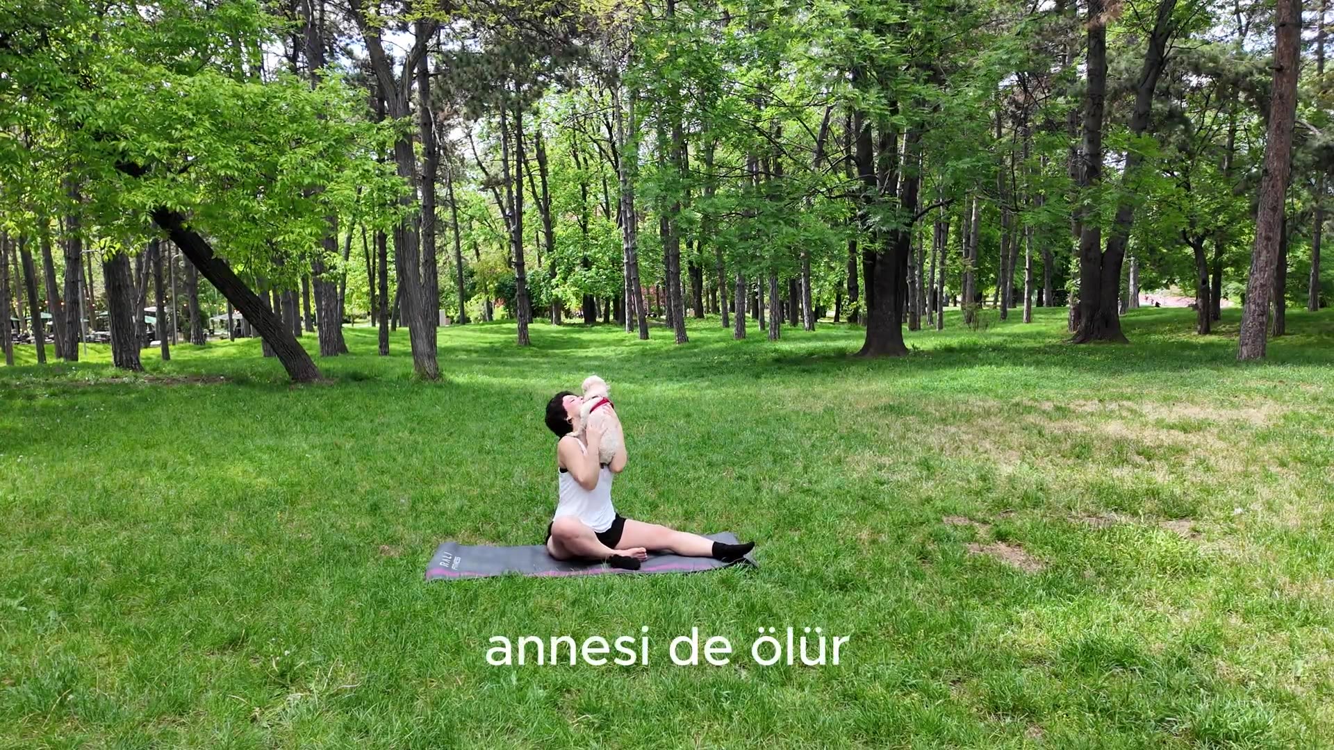 H-YOGASI