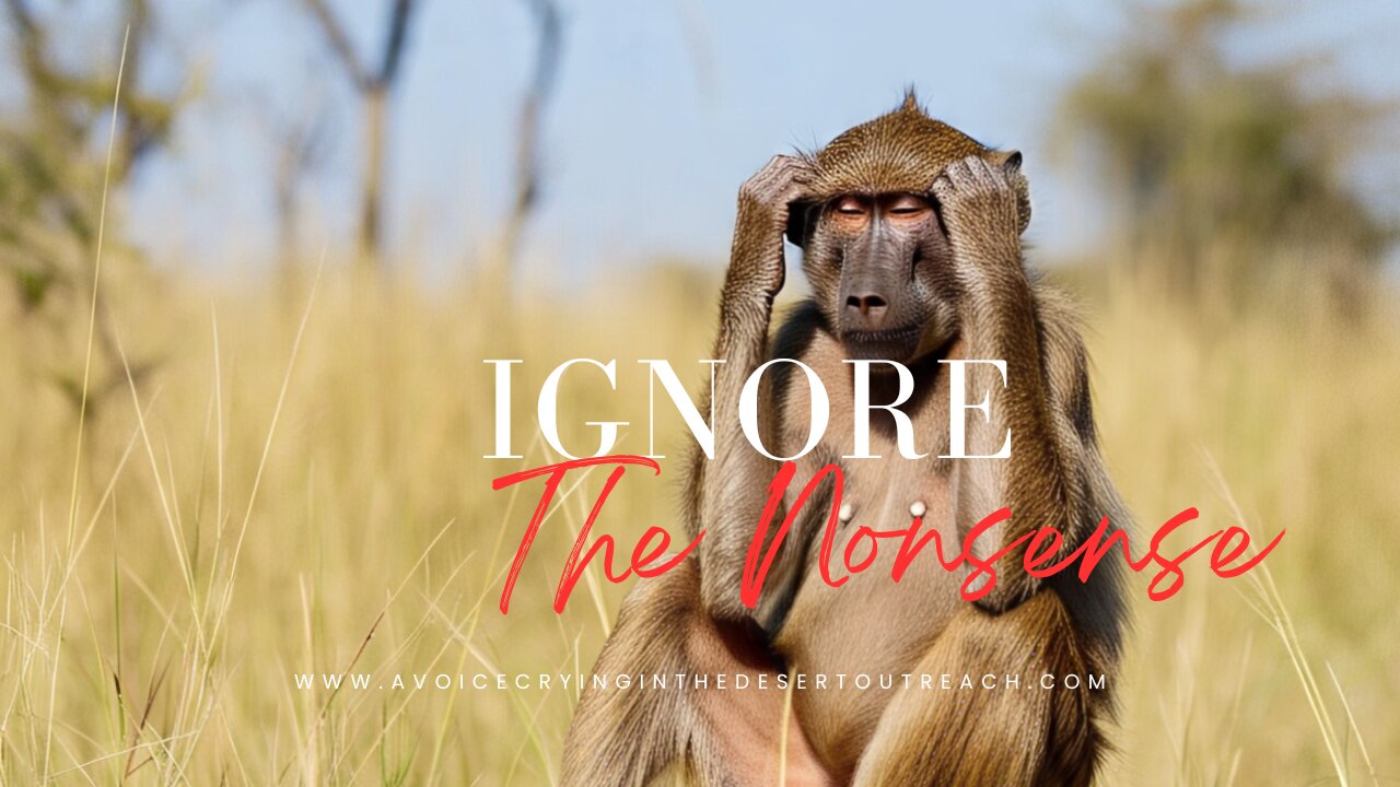 Ignore The Nonsense!