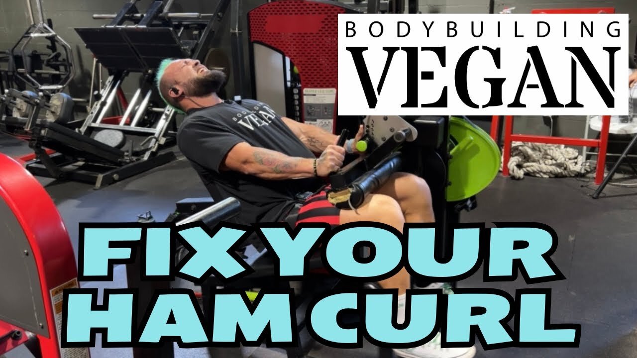 How to Ham Curl Step by Step - Seated Hamstrings | The Bodybuilding Vegan at Mi40 Gym Tampa