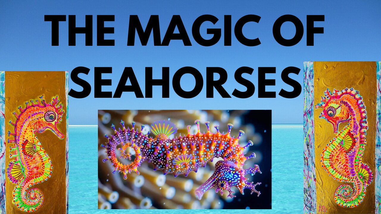 THE MAGIC OF SEAHORSES