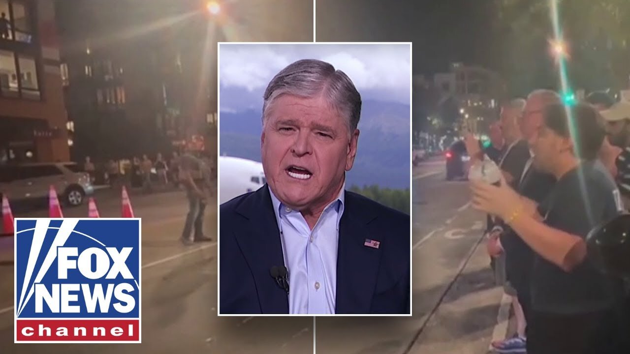 Watch these DERANGED protesters yell at fed agents in DC: Hannity