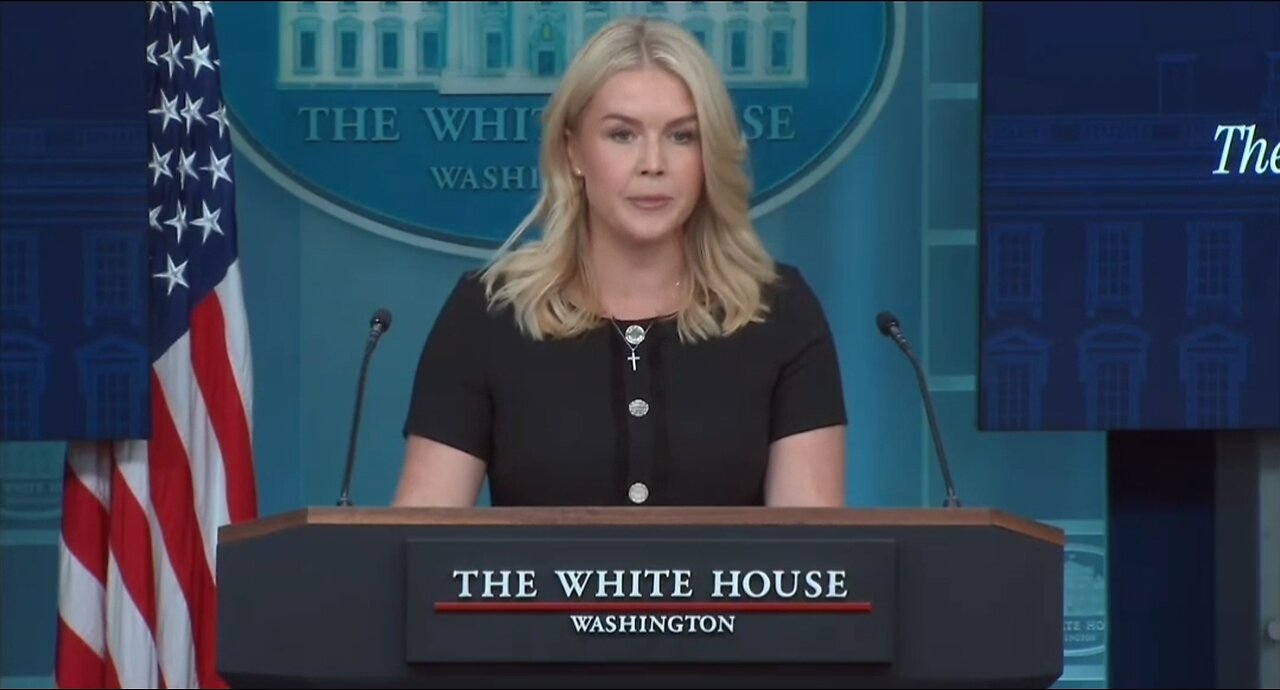 Karoline Leavitts Message To Americans In Blue Cities