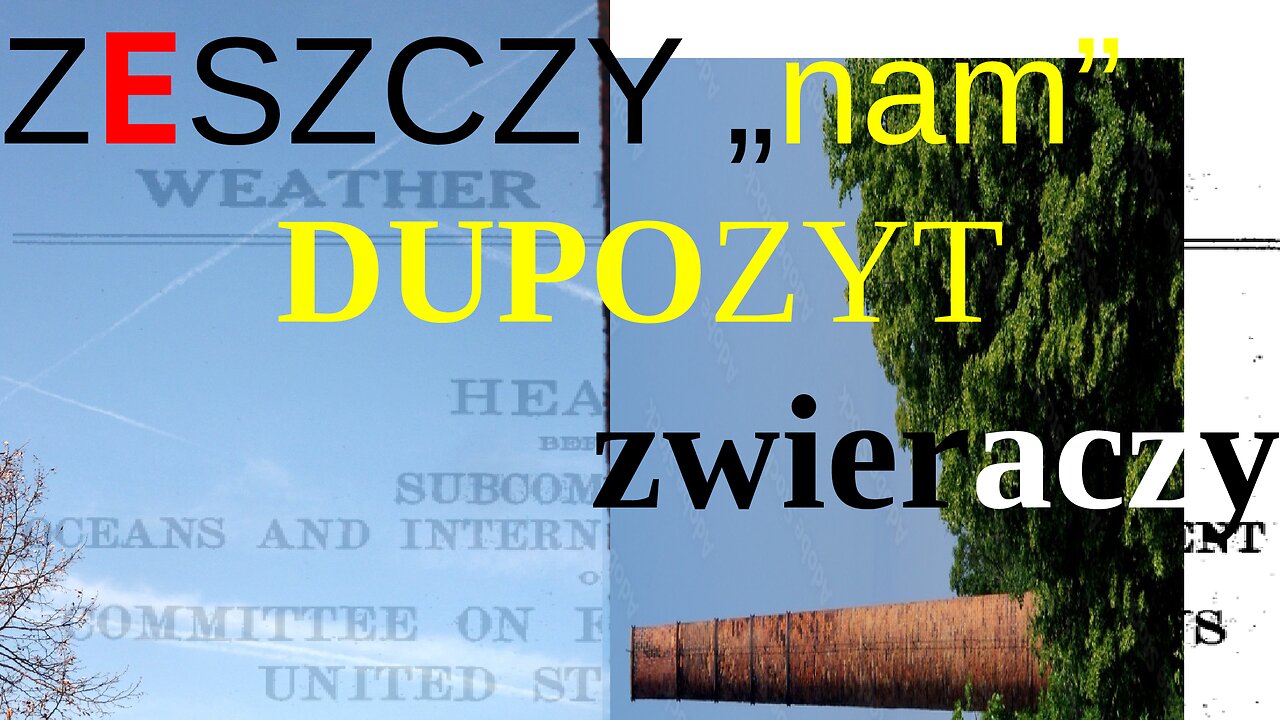 *ZESZCZY* nam