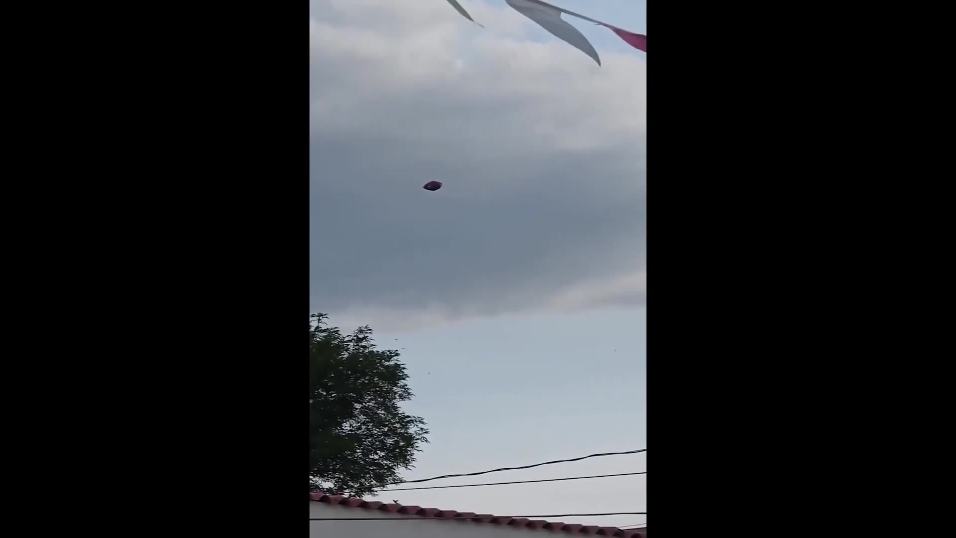 ITS ALIVE! Man Finds Alien Lifeform In Meteorite? THIS IS SCARY!