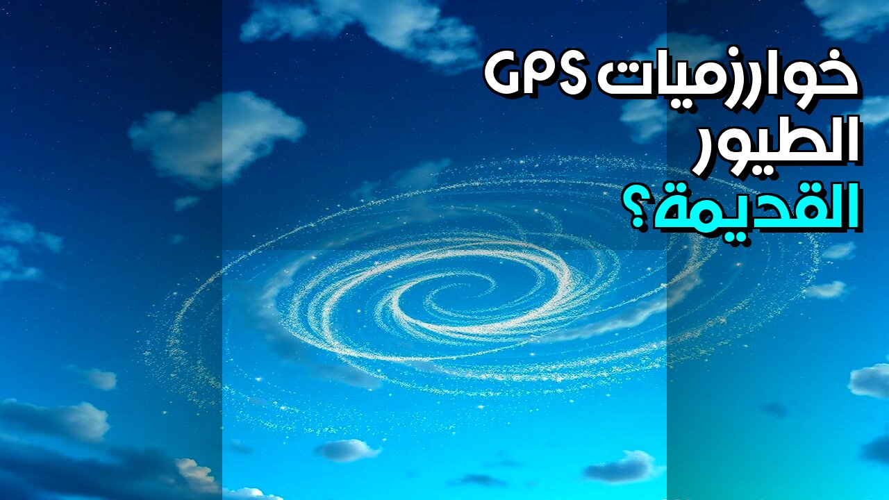 GPS: خوارزميات الطيور القديمة؟ ️ #shorts