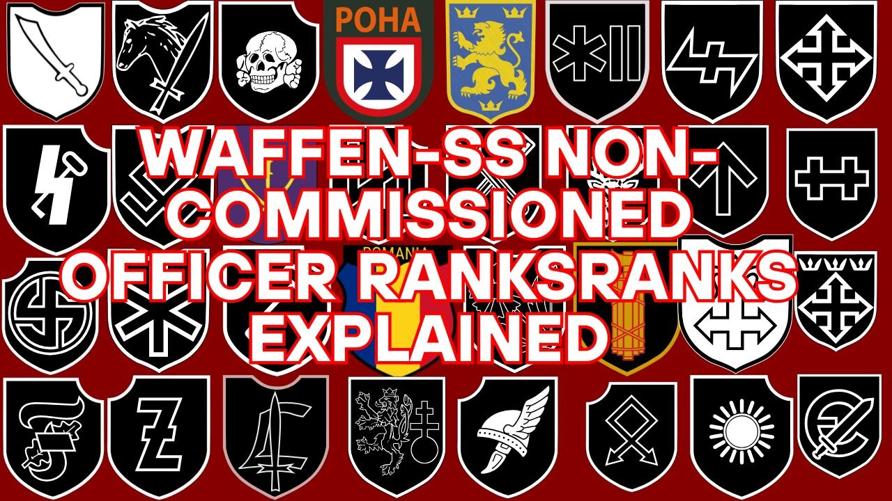 Waffen-SS NCO Ranks Explained: Unterscharführer to Sturmscharführer | Nazi Paramilitary Hierarchy