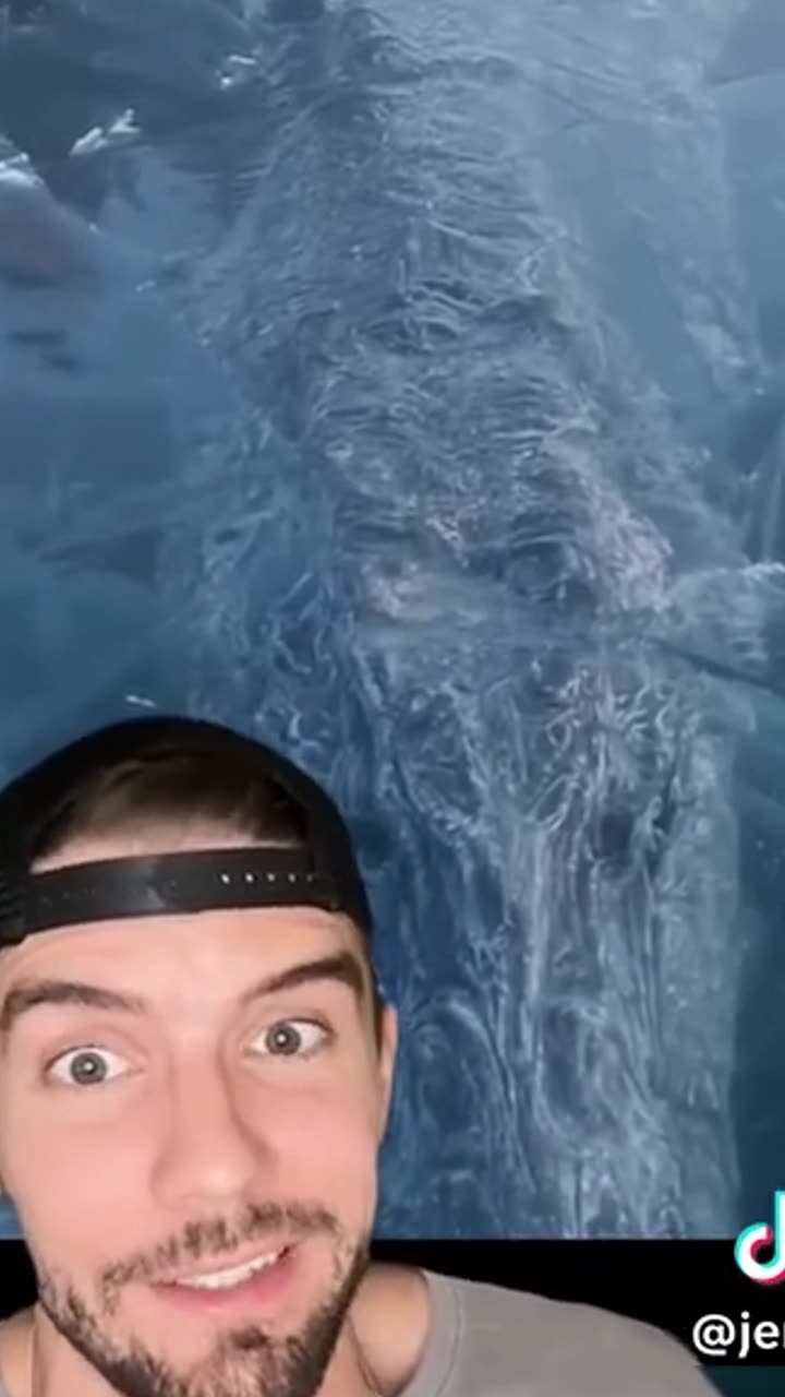 20 Million-Year-Old Antarctic Lake Unleashes Horror!