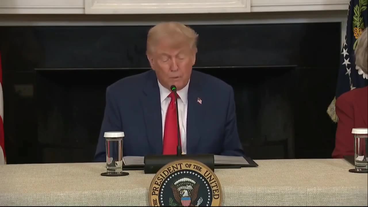 President Donald Trump has announced a new policy proposal that would see every American child