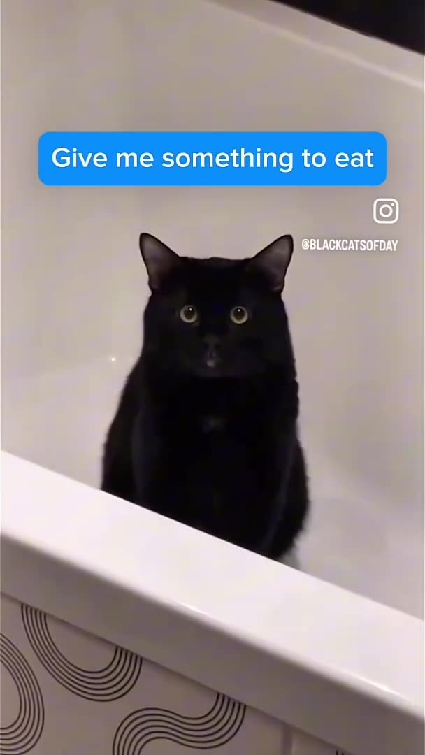 Meow