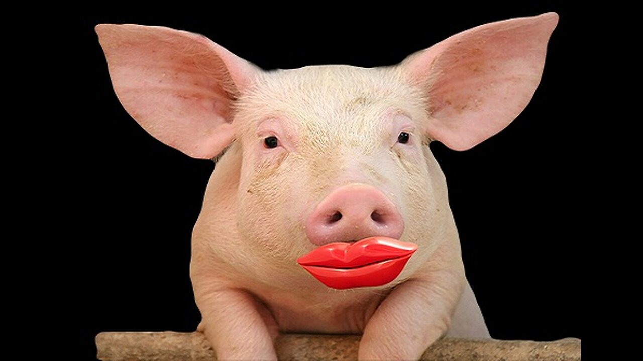 Putting lipstick on a Pig is your Citys SWISS C-40 Climate Action