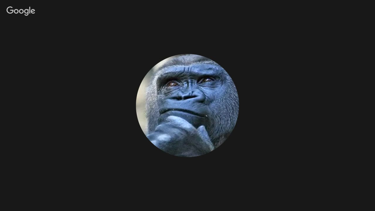 Random Q&A Live Stream Test Run