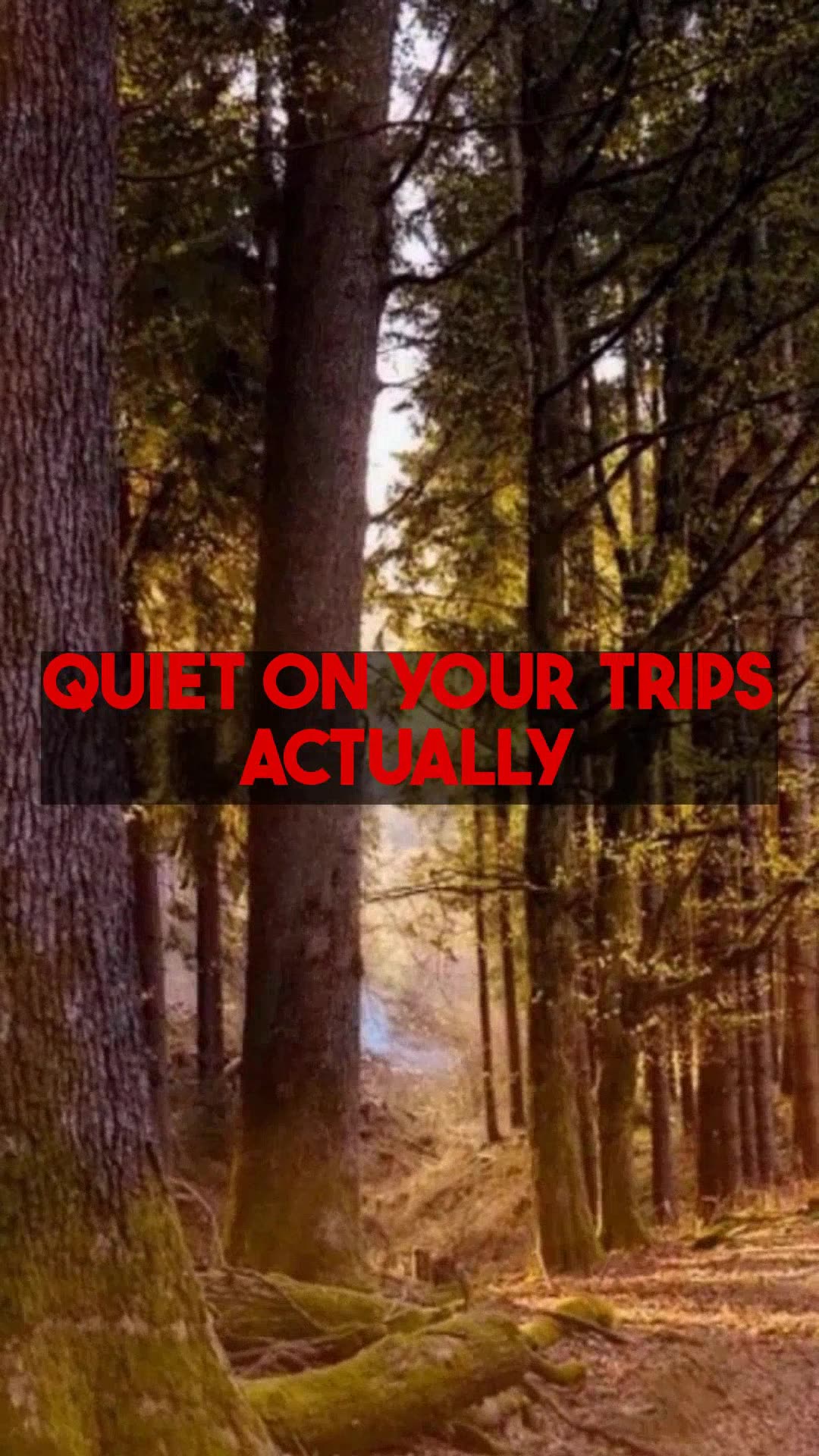 How Quiet Travel Changes Your Journey