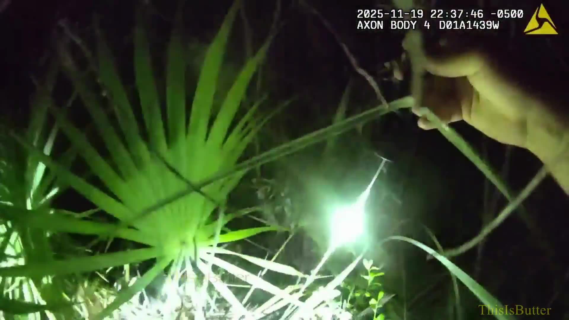 Florida deputies rescue 86-year-old man whod been missing for 80 hours