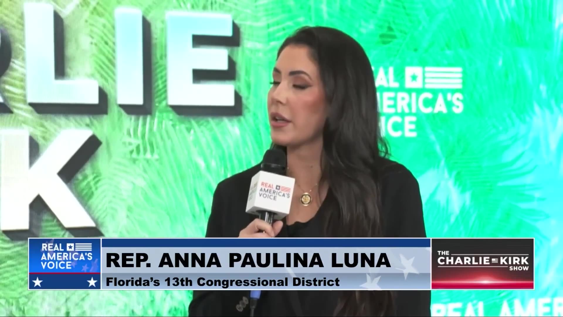 Anna Paulina Luna Exposes Congresss Role in the Epstein Case