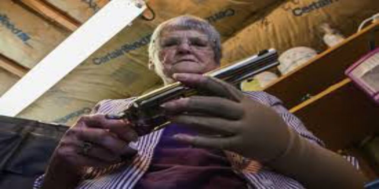 Dhillon Fights Ill. Gun Ban in Rare Court Appearance
