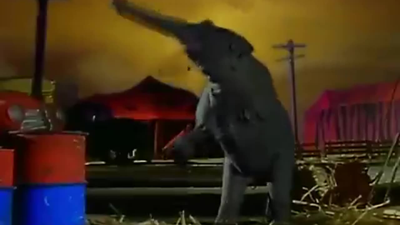 Alice In Chains - I Stay Away