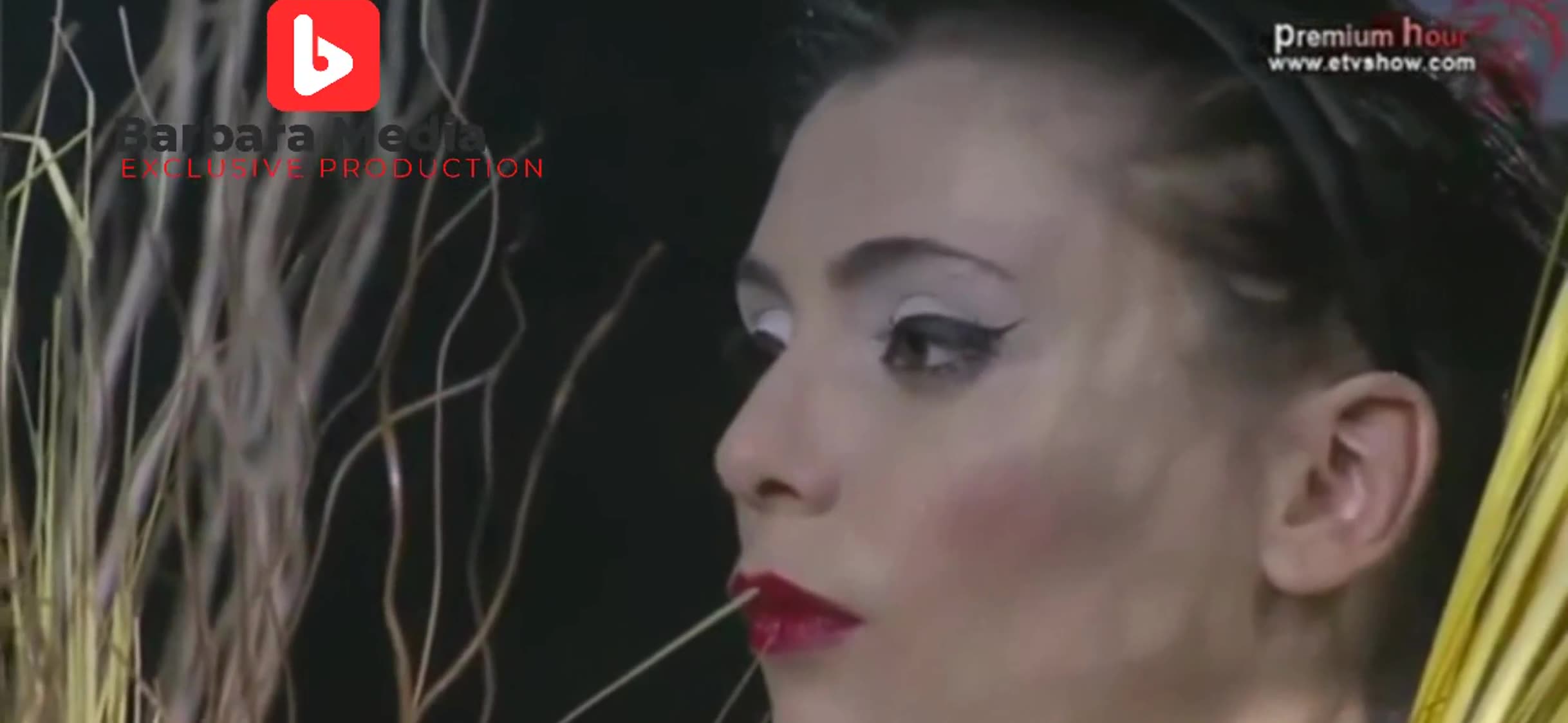 Sexy girl on Eurotic TV by Barbara Media Exclusive Production 6_Segment_0_x264🤞