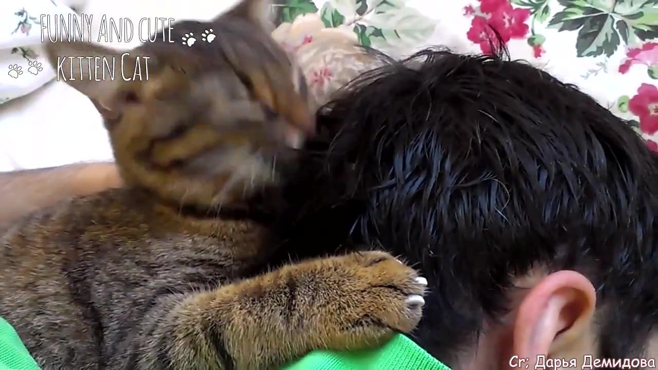 Have the love of a cat is to have the world