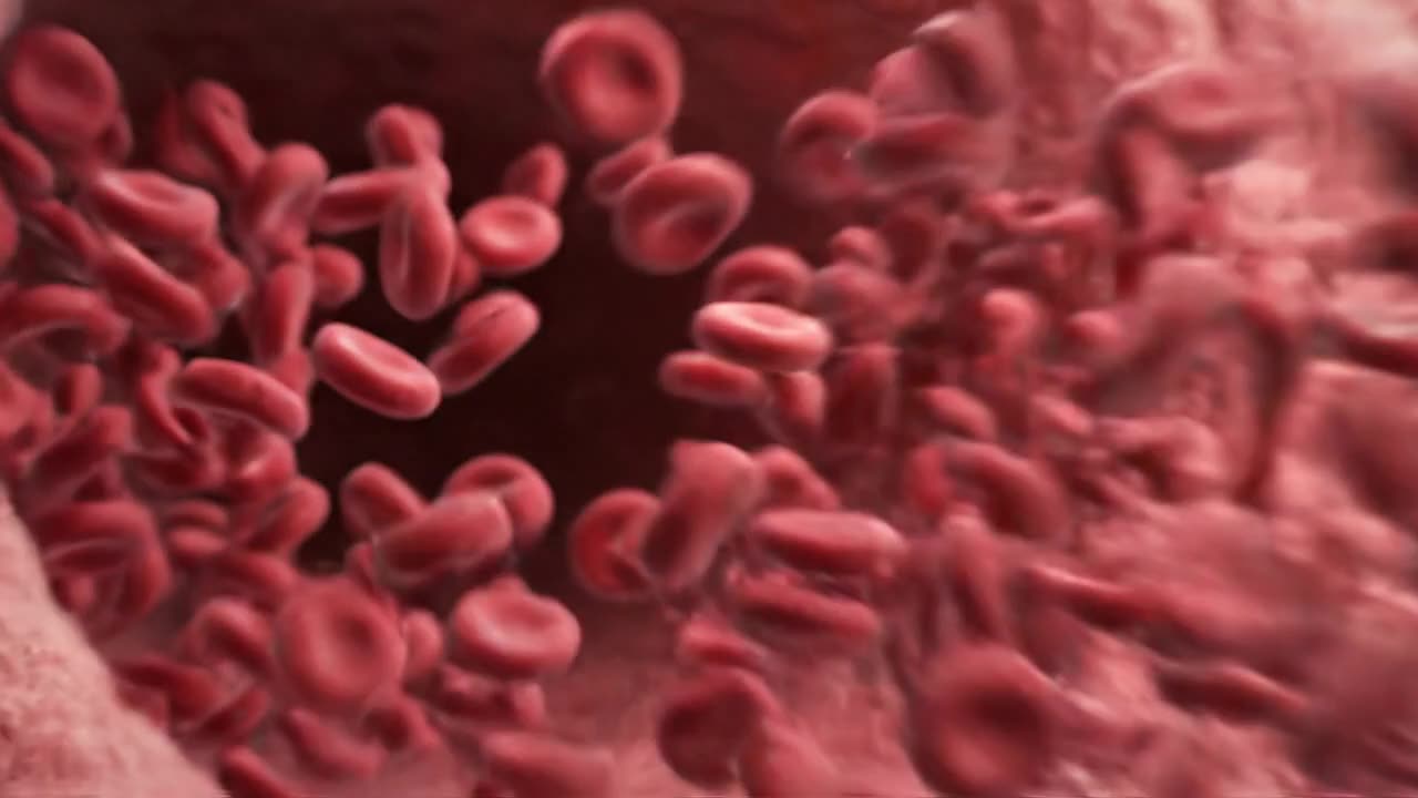 Your White Blood Cells Are Actively Hunting Inside You Right Now