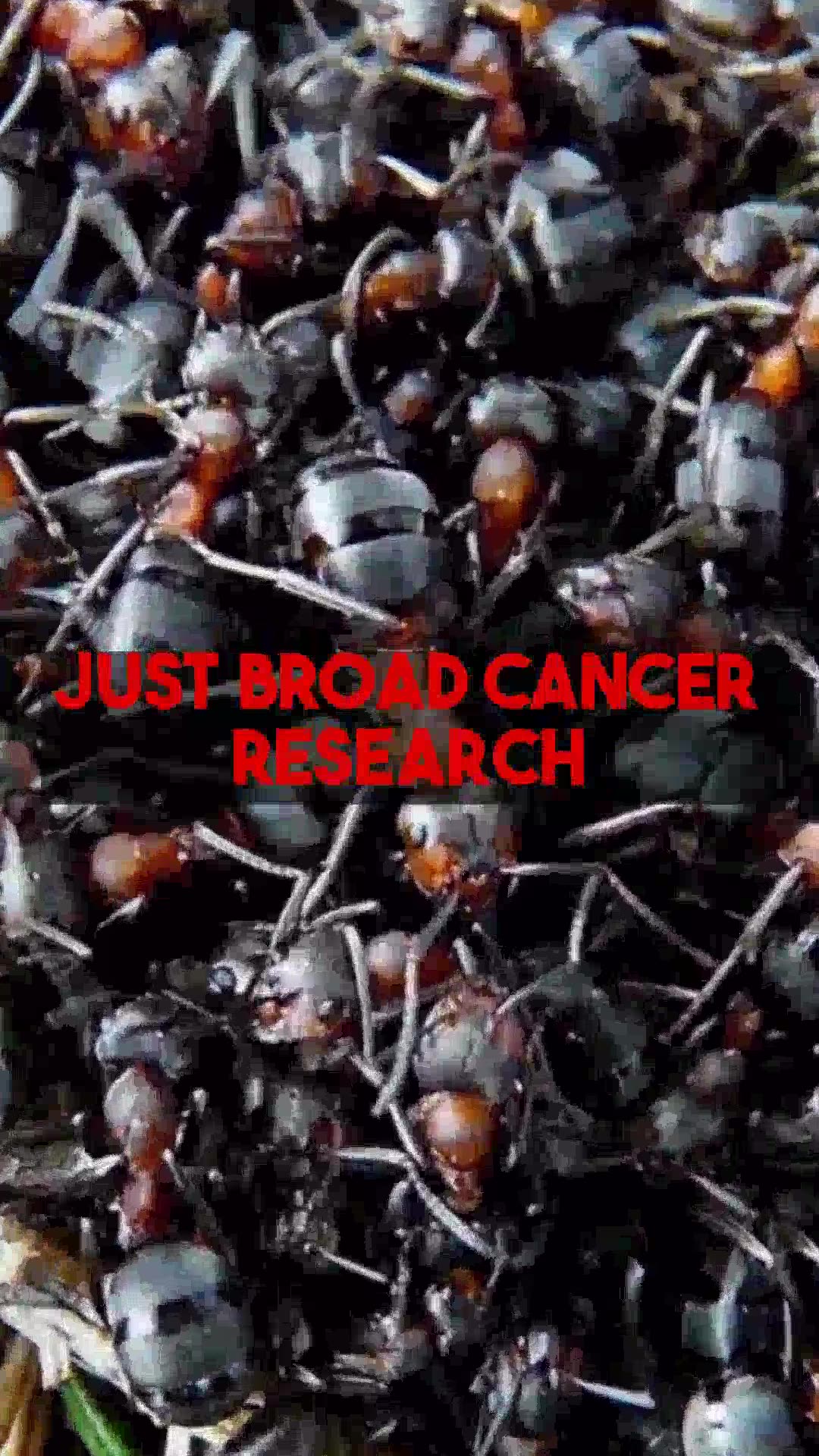 Effective grant writing for MMA supported cancer research