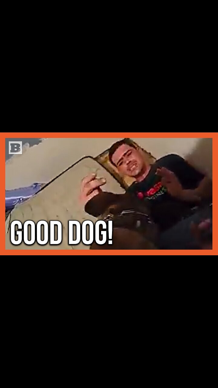 Hes Ripping My Arm Off! K9 Finds Suspect Hidden Between Mattresses
