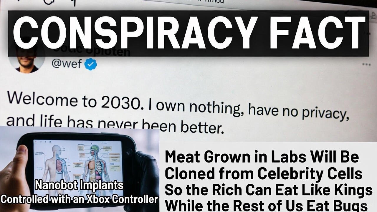 The Globalist 2030 Plan: Youll Own Nothing While They Control Your Food & Mind with Nanobots