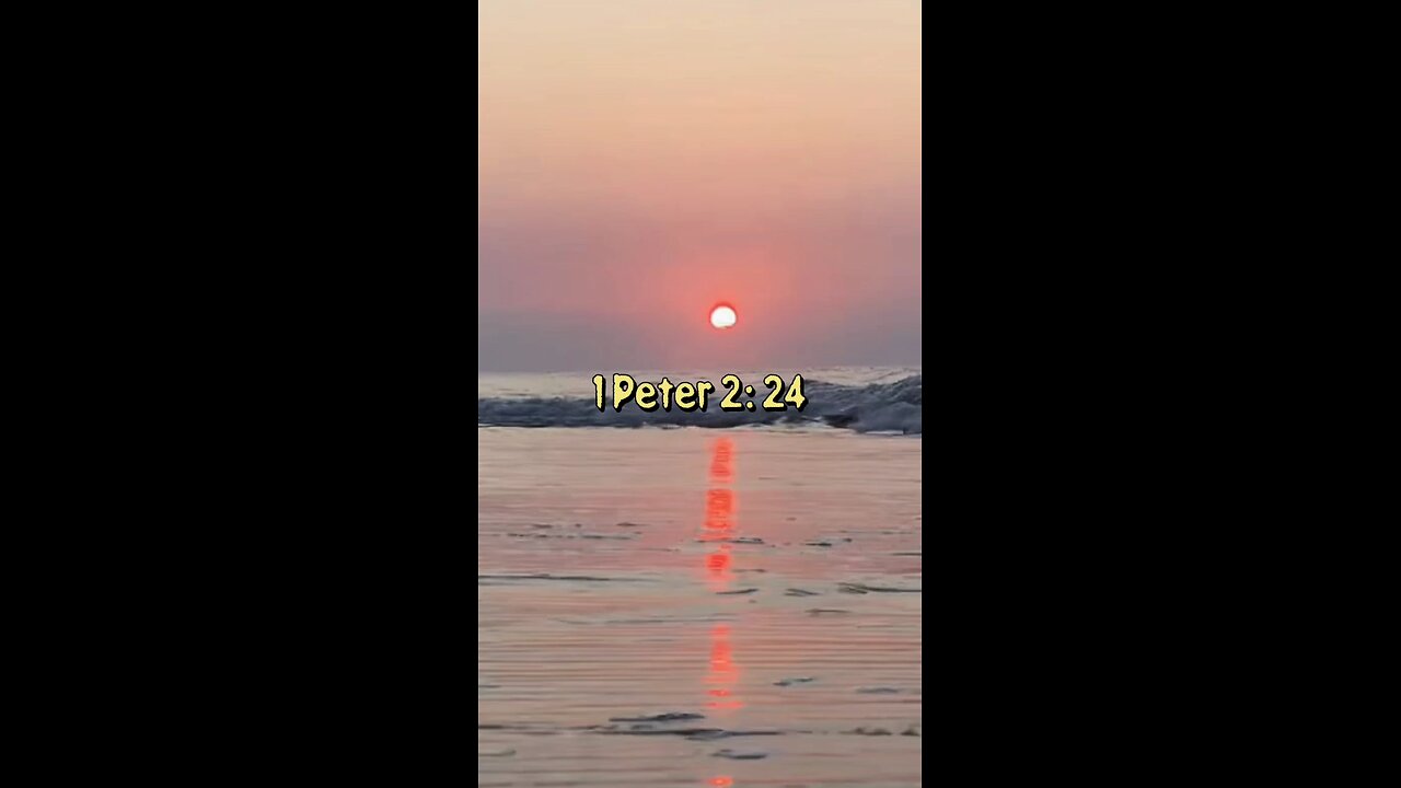 1 Peter 2:24 (NIV)