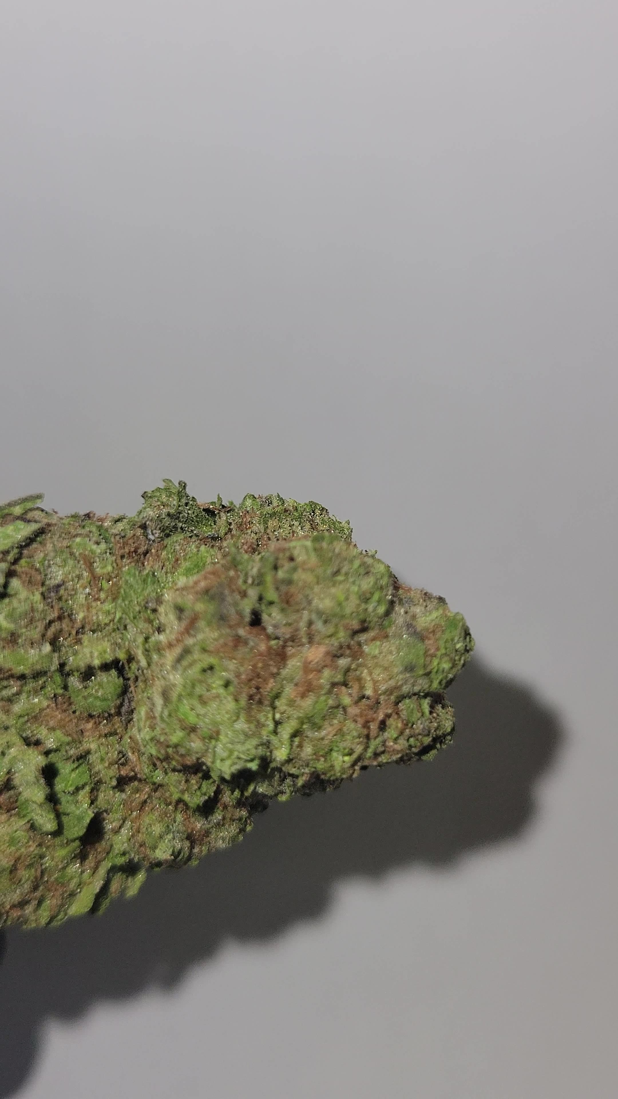 RudeBoi OG THC Flower Madison WI