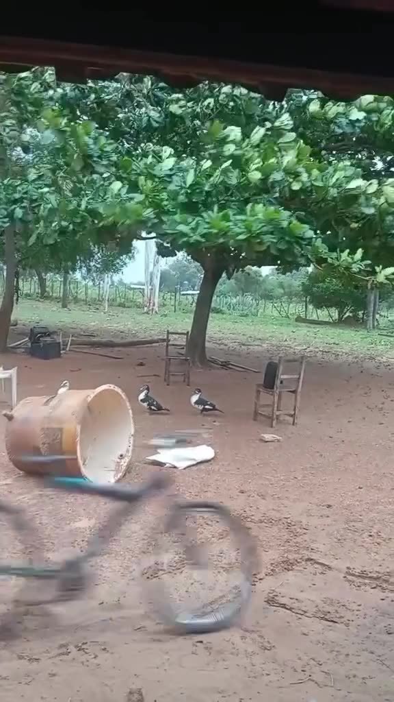 Random sh!t