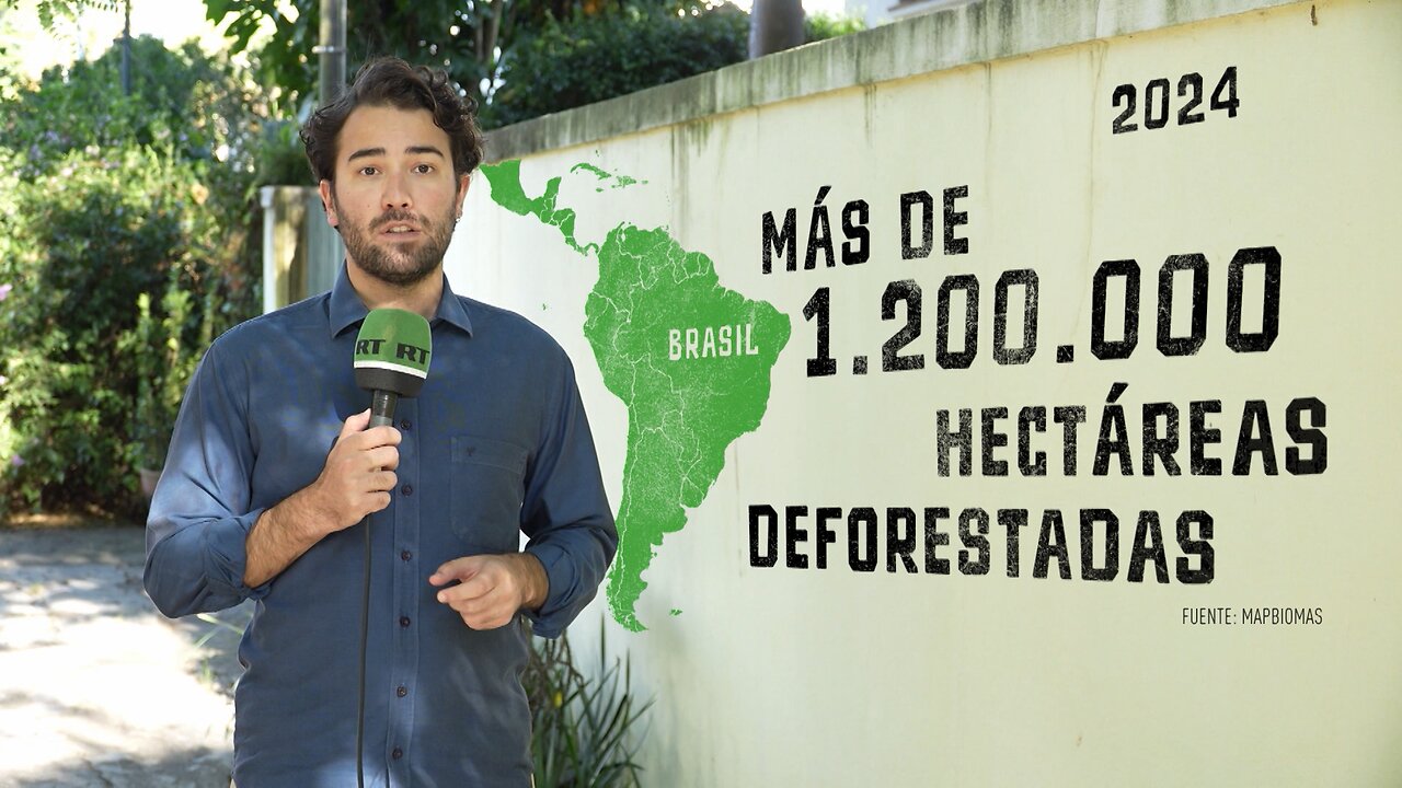 Brasil pierde bosques por la alta demanda de minerales