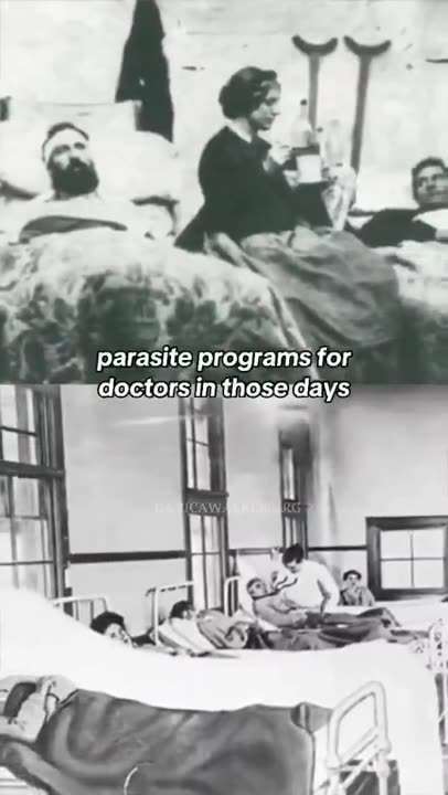 Hidden And Forgotten Knowledge Of Parasitology - Short Clip