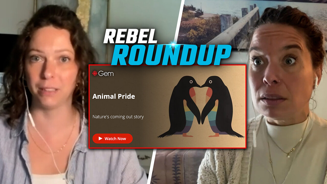 Gay animals? CBC explores queer wildlife in new documentary