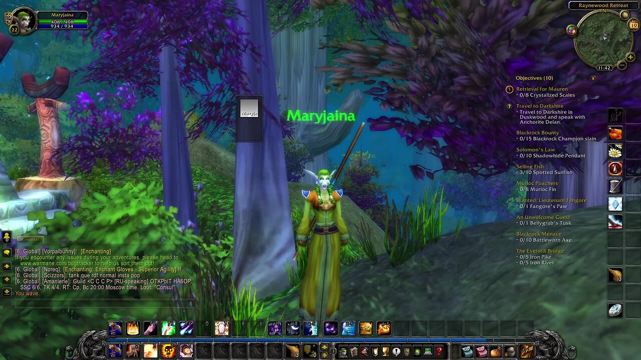 Wow Warmane/ Pally Alliance lvl 51, the road to the dark portal....