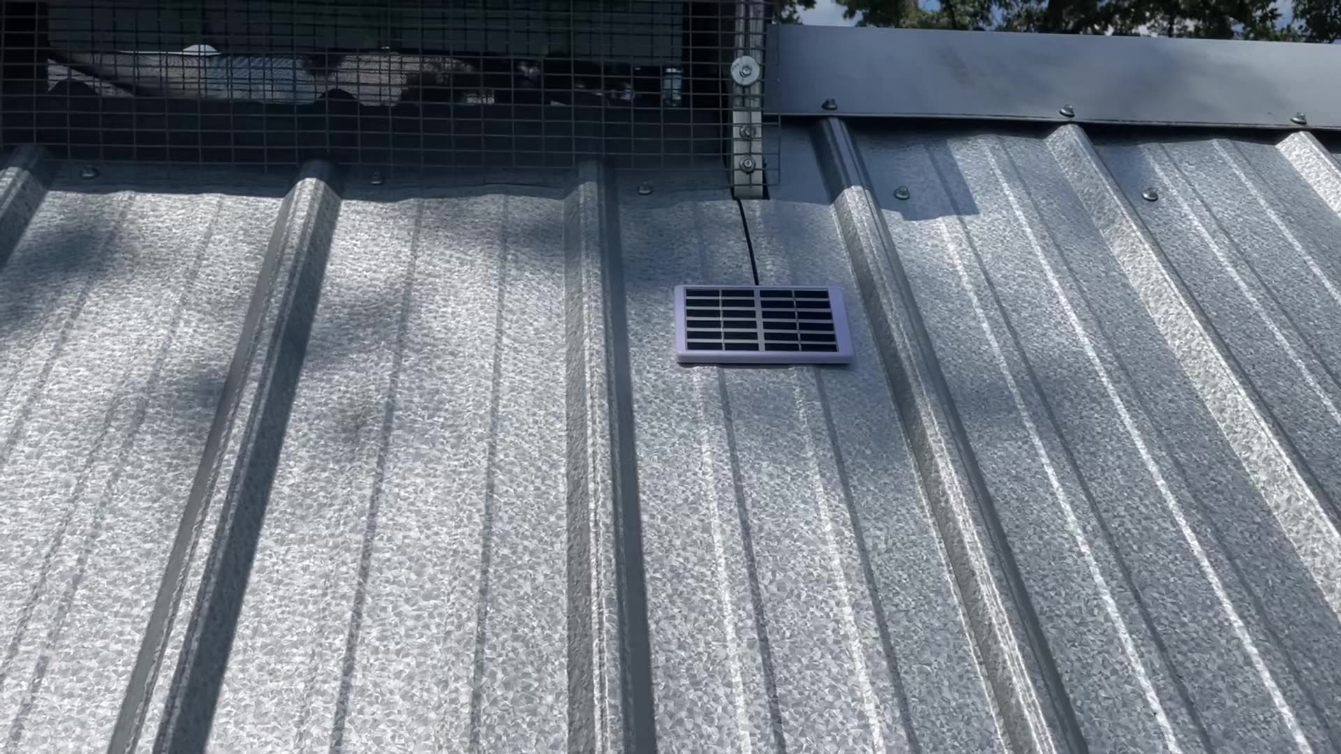 Our Setup of the ChickenGuard Automatic Door Opener
