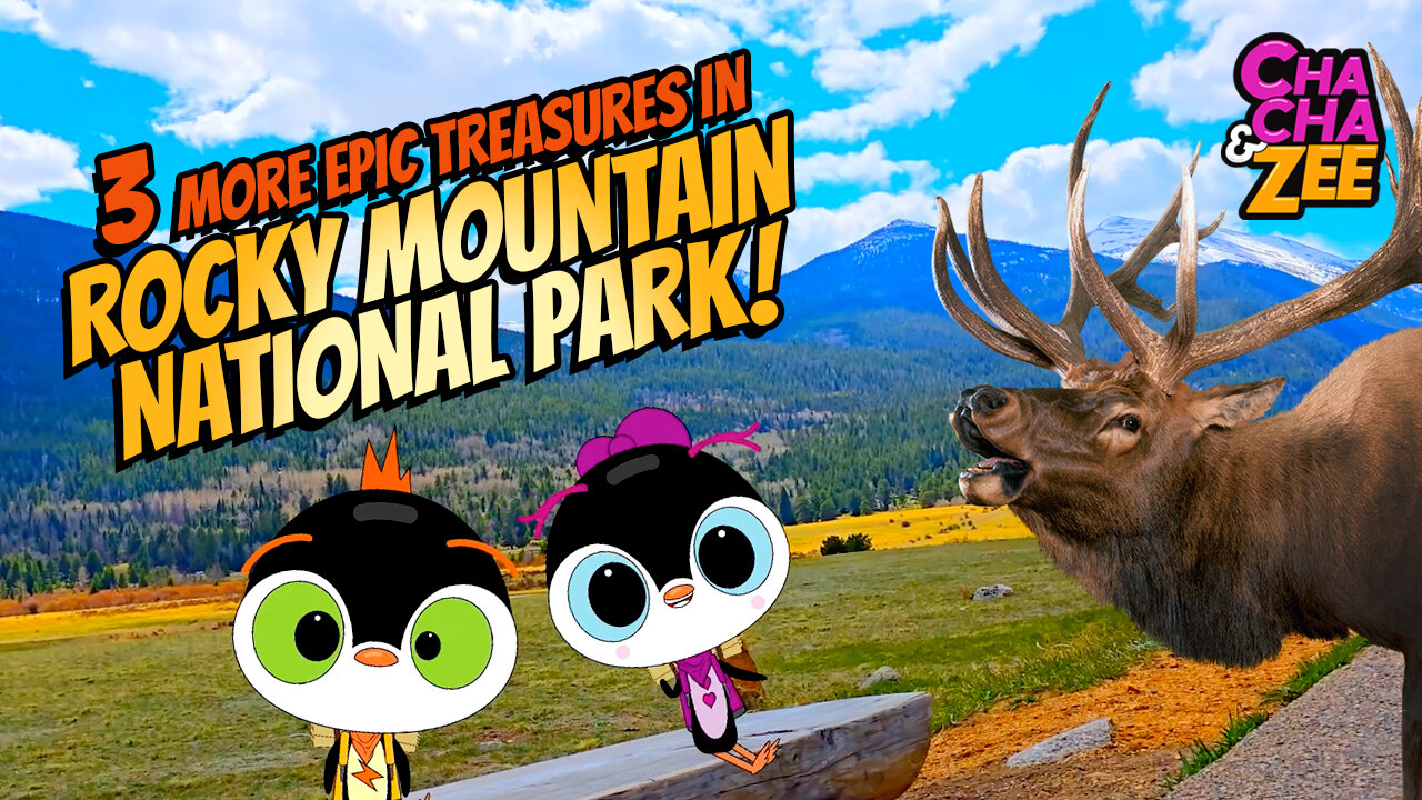 Wildlife Surprises and Epic Treasure Hunts Await in Rocky Mountains