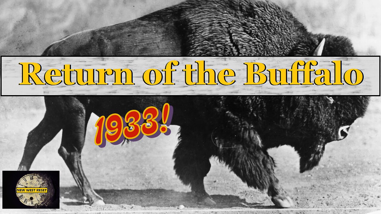 RETURN of the BUFFALO Canadian Cameo Film (1933) #reset #mudflood #oldworld