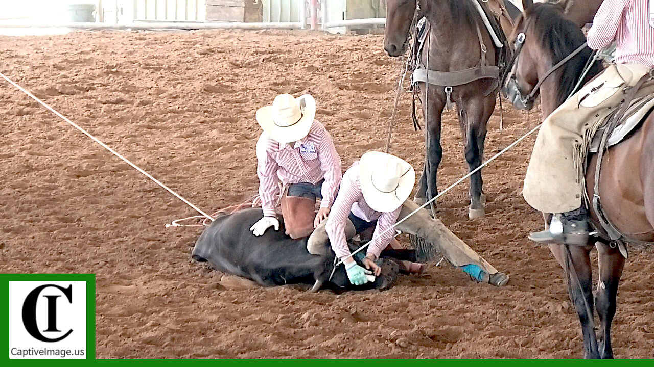 Team Doctoring - Big Bend Youth Ranch Rodeo | Saturday 2026