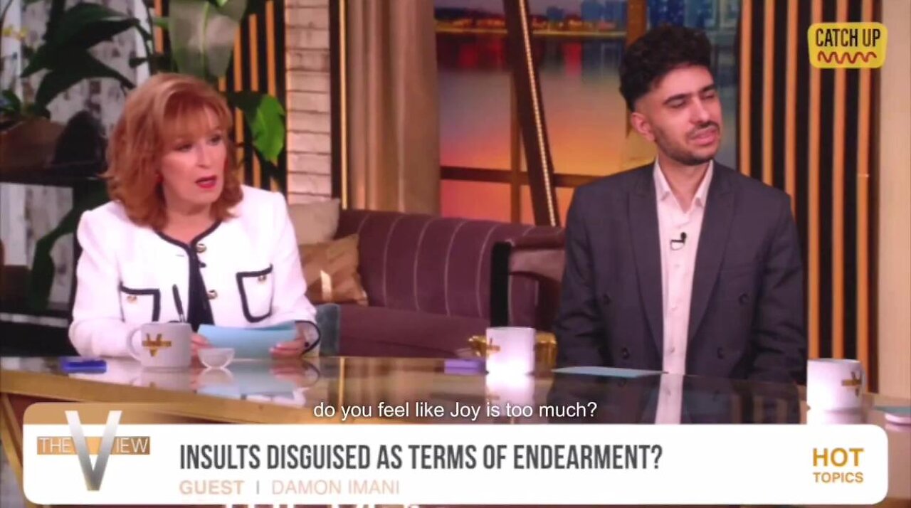 🤣 Hilarious pretend VIEW guest - Insults disguised as terms of endearment?