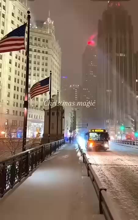 VERITAS VAULT - MERRY X-MAS - CRYPTO STAKING PROFITS ON AUTO PILOT - TOP TEAM ROB BUSER