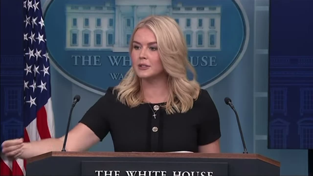 Karoline Leavitt Says Trump Administration Not Backing Down on Alligator Alcatraz