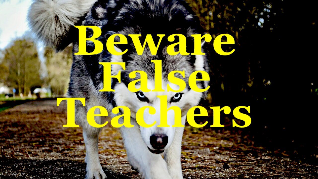 The Jesuit Vatican Shadow Empire 411 - Beware False Teachers
