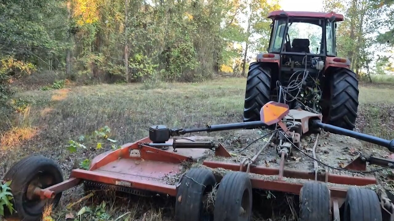 BUSH HOGGIN FOR CHILDREN EP-3