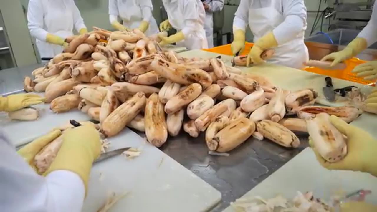 The amazing process of making solid broth from 16 natural ingredients. Korea’s coin broth
