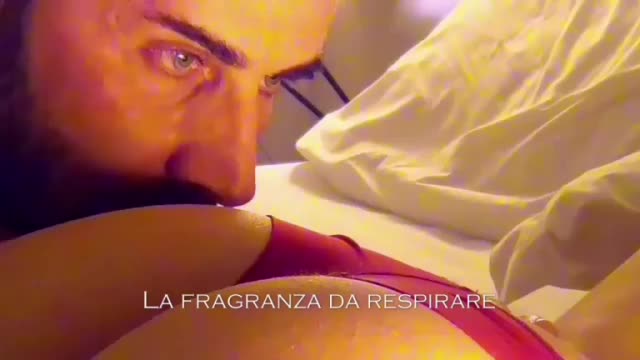 Tu sei.....