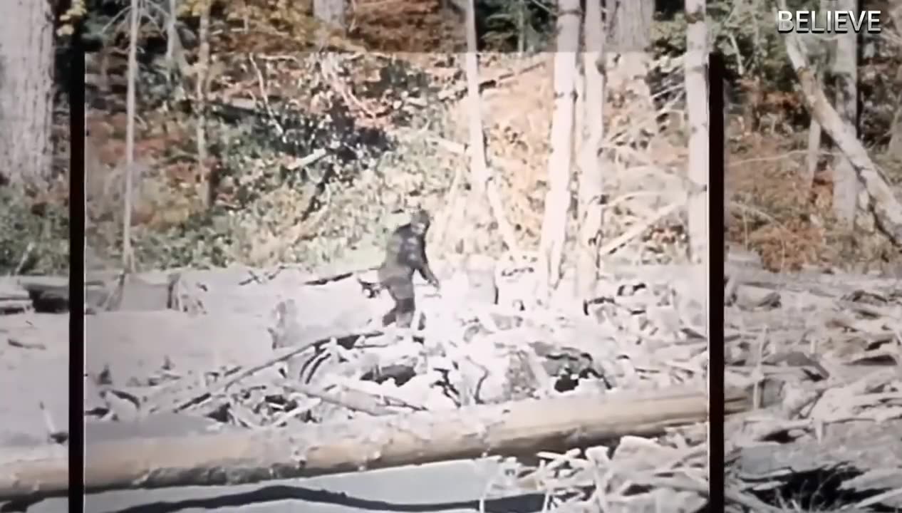 Bigfoot and UFOs Seen Together? A Hidden Connection Revealed!